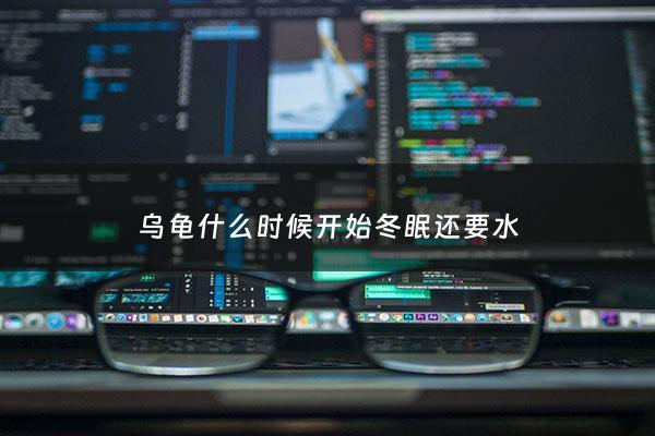 乌龟什么时候开始冬眠还要水 - 乌龟什么时候进行冬眠