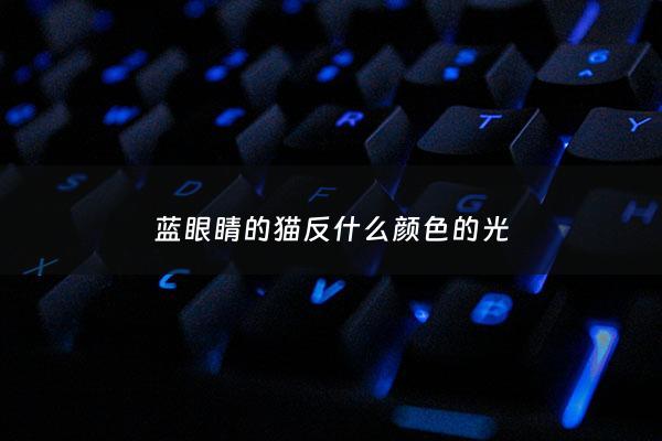 蓝眼睛的猫反什么颜色的光 - 蓝眼睛的猫贵不贵