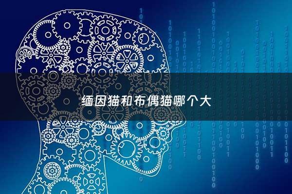 缅因猫和布偶猫哪个大 - 缅因猫与布偶猫谁好