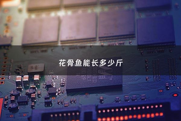 花骨鱼能长多少斤 - 花骨鱼贵不贵