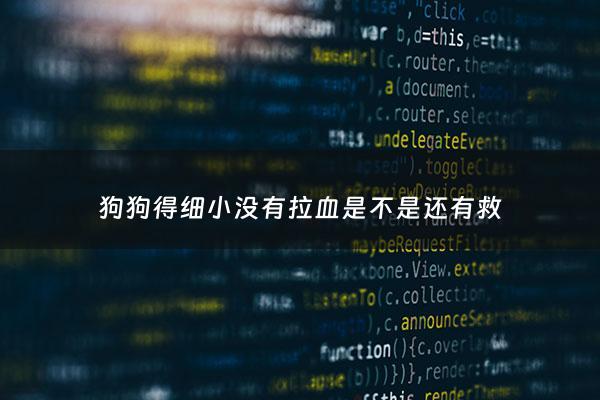 狗狗得细小没有拉血是不是还有救 - 小狗得细小不拉血是不是成活率更高