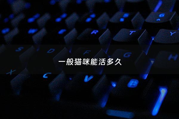 一般猫咪能活多久 - 猫通常能活多久