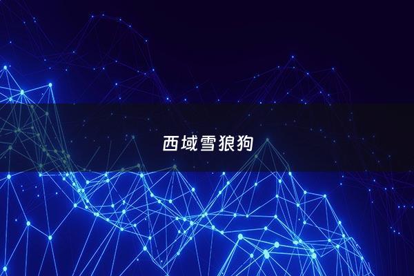 西域雪狼狗 - 雪域狼族狗粮
