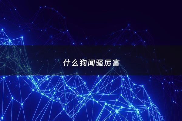 什么狗闻骚厉害 - 什么狗狗气味最大最臭?