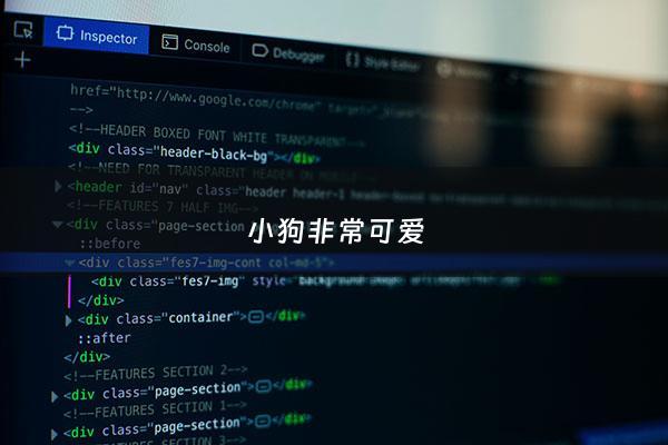 小狗非常可爱 - 小狗非常可爱吗