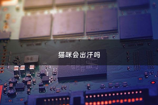 猫咪会出汗吗 - 猫会出汗吗?猫出汗在哪里?