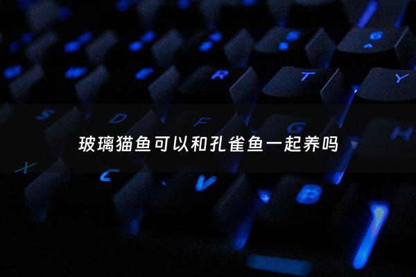 玻璃猫鱼可以和孔雀鱼一起养吗 - 玻璃猫能和孔雀混养吗