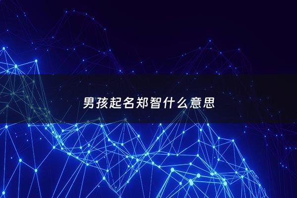 男孩起名郑智什么意思 - 男孩起名郑智什么意思啊