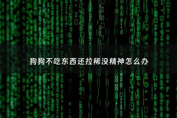 狗狗不吃东西还拉稀没精神怎么办 - 狗不吃饭拉稀没精神是什么原因