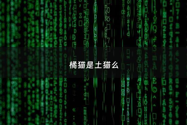 橘猫是土猫么 - 橘猫就是土猫吧