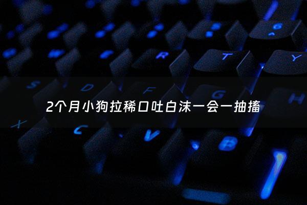 2个月小狗拉稀口吐白沫一会一抽搐 - 狗狗吐白沫黏液拉稀抽搐