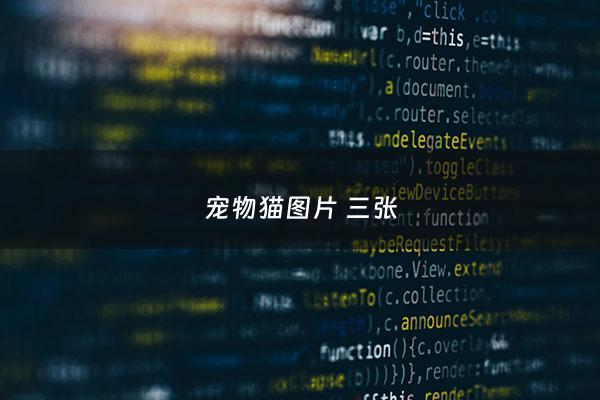 宠物猫图片 三张 - 宠物猫图片可爱大全 卖萌,竖屏