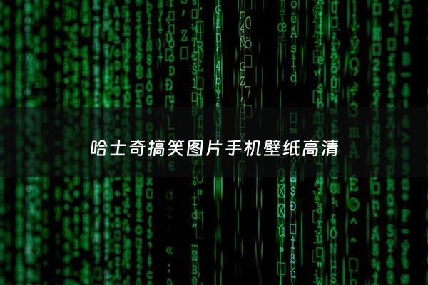 哈士奇搞笑图片***壁纸高清 - 哈士奇搞笑的图片