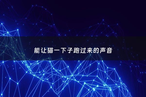 能让猫一下子跑过来的声音 - 怎么让猫跑过来