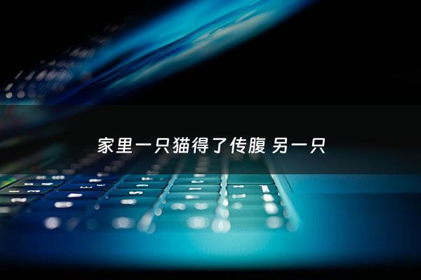 家里一只猫得了传腹 另一只 - 一只猫有传腹还能再养吗