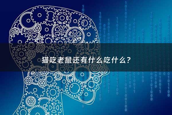 猫吃老鼠还有什么吃什么? - 猫吃老鼠全部吃掉吗