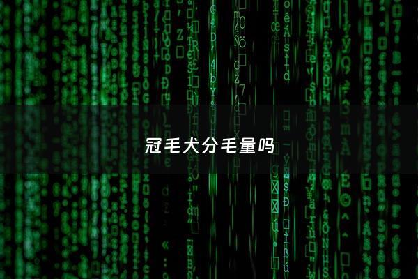 冠毛犬分毛量吗 - 冠毛犬的寿命