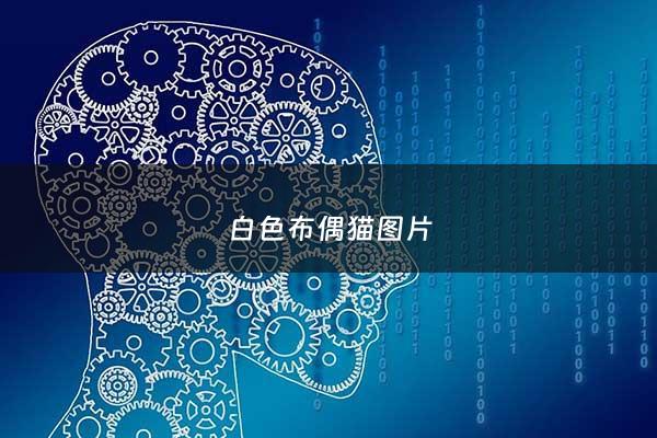 白色布偶猫图片 - 白色布偶猫图片欣赏