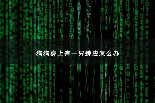 狗狗身上有一只蜱虫怎么办 - 狗狗身上有一只蜱虫怎么办啊