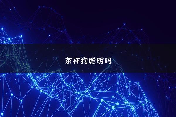 茶杯狗聪明吗 - 茶杯狗属于什么狗