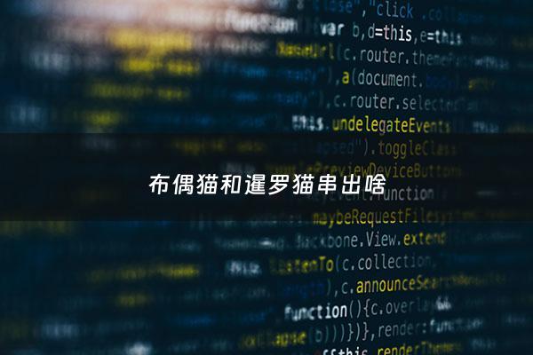 布偶猫和暹罗猫串出啥 - 布偶与暹罗猫串