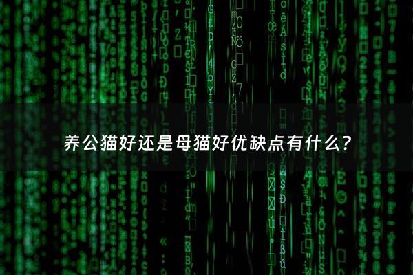 养公猫好还是母猫好优缺点有什么? - 养猫公猫好母猫好