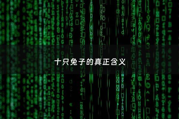 十只兔子的真正含义 - 十只兔子的真正含义是什么