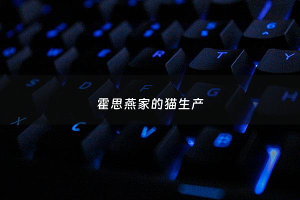 霍思燕家的猫生产 - 霍思燕家的猫生产了多少只