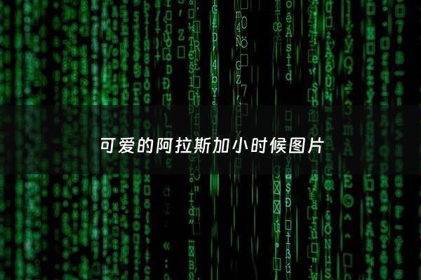 可爱的阿拉斯加小时候图片 - 可爱小阿拉斯加***
