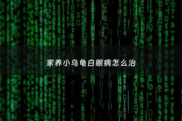 家养小乌龟白眼病怎么治 - 小乌龟白眼病怎么治很严重
