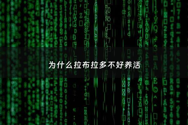 为什么拉布拉多不好养活 - 拉布拉多养不起