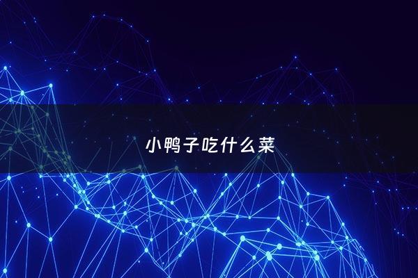 小鸭子吃什么菜 - 小鸭子吃什么菜叶