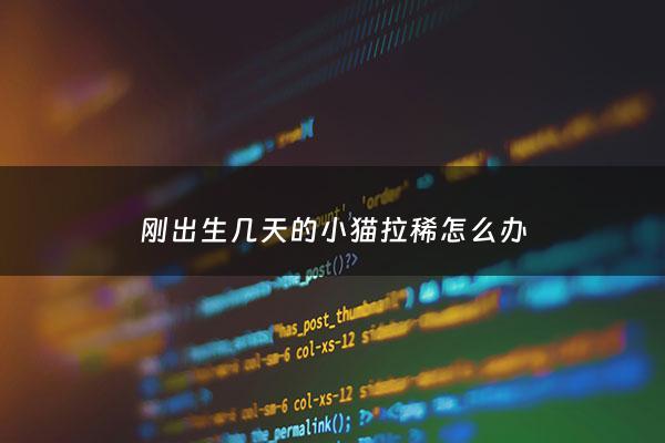 刚出生几天的小猫拉稀怎么办 - 刚出生的小猫拉稀正常吗
