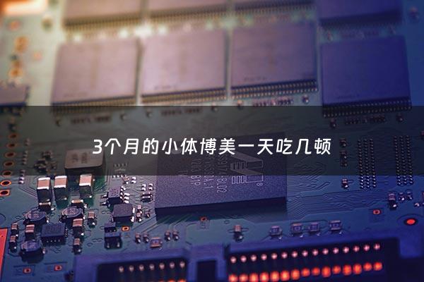 3个月的小体博美一天吃几顿 - 三个月大的博美一天吃多少狗粮