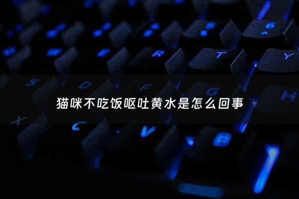 猫咪不吃饭呕吐黄水是怎么回事 - 猫咪不吃饭呕吐黄水是怎么回事儿