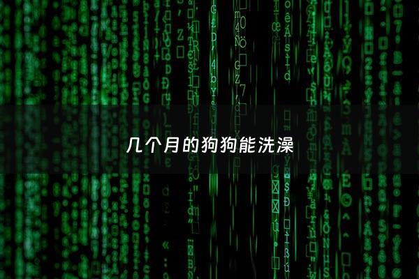 几个月的狗狗能洗澡 - 狗几个月大可以洗澡