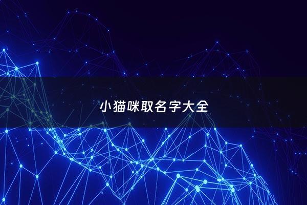 小猫咪取名字大全 - 小猫 取名字
