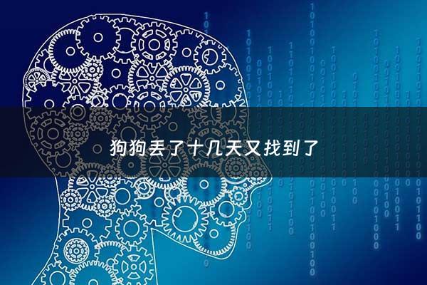 狗狗丢了十几天又找到了 - 狗狗丢了几天还找不到怎么办