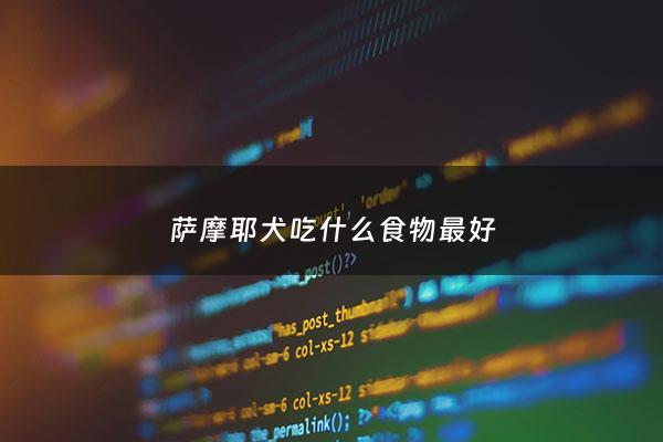 萨摩耶犬吃什么食物最好 - 萨摩耶犬吃什么比较好