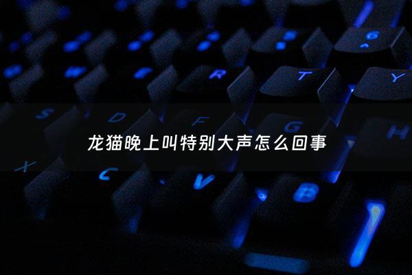 龙猫晚上叫特别大声怎么回事 - 龙猫一到晚上就叫