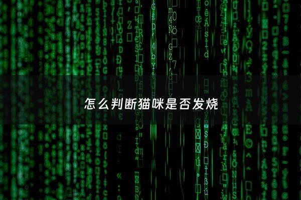 怎么判断猫咪是否发烧 - 怎样知道猫咪是不是发烧了
