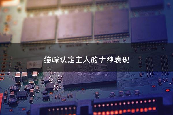 猫咪认定主人的十种表现 - 猫咪认定主人的表现猫反感你的表现