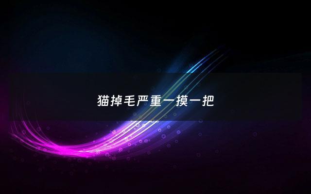 猫掉毛严重一摸一把 - 猫掉毛严重一抓一撮