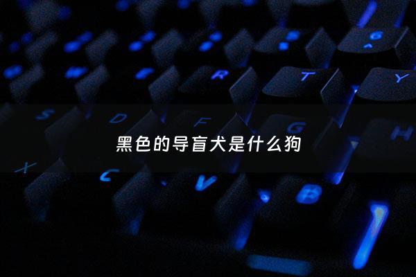 黑色的导盲犬是什么狗 - 黑色的导盲犬是什么狗品种