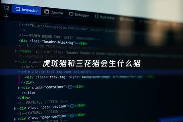 虎斑猫和三花猫会生什么猫 - 虎斑跟三花能生出什么