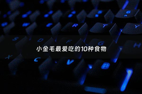 小金毛***吃的10种食物 - 小金毛吃什么主食比较好