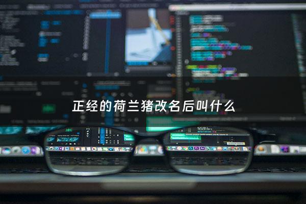 正经的荷兰猪改名后叫什么 - 正经的荷兰猪改名后叫什么名字