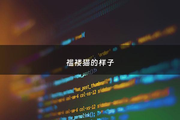 褴褛猫的样子 - 褴褛猫贵吗