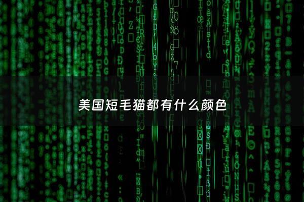 ***短毛猫都有什么颜色 - ***短毛猫都有什么品种