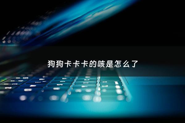 狗狗卡卡卡的咳是怎么了 - 狗狗卡卡的咳嗽怎么办